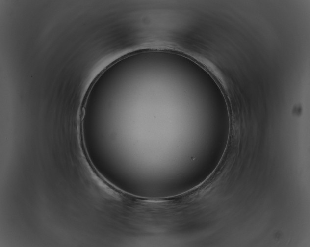 X0000091661343200708301431