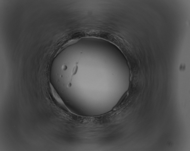 X0000091661345200708301430