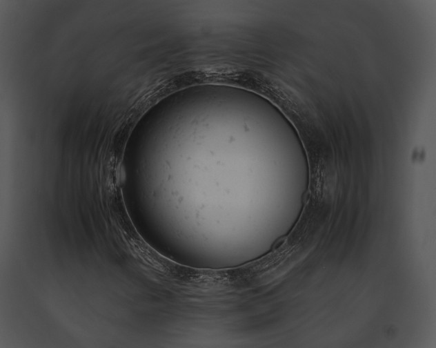 X0000091661346200708301430