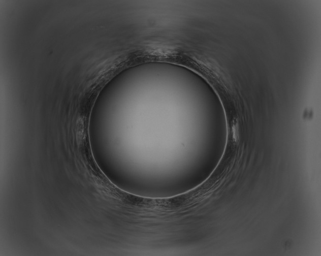 X0000091661347200708301430