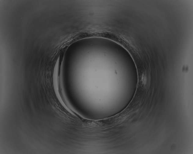 X0000091661348200708301430