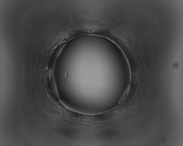 X0000091661349200708301430
