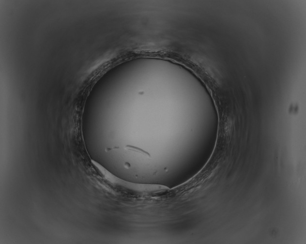 X0000091661350200708301430