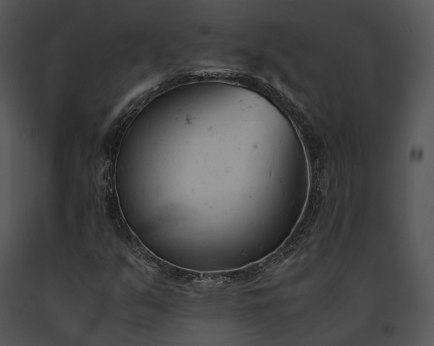 X0000091661351200708301430