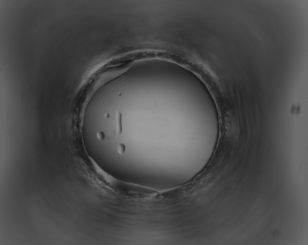 X0000091661352200708301430