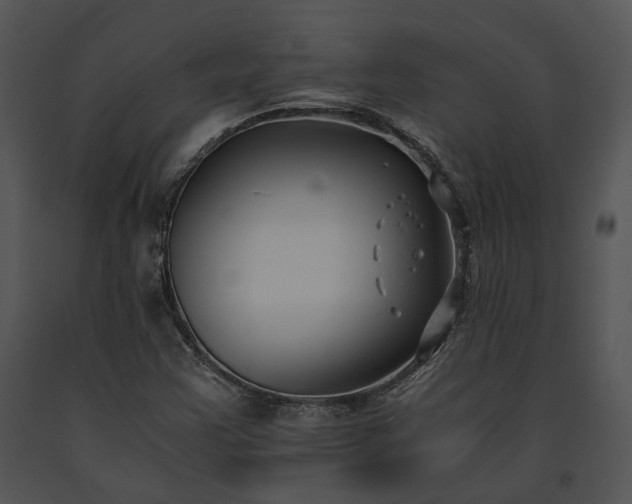 X0000091661355200708301430
