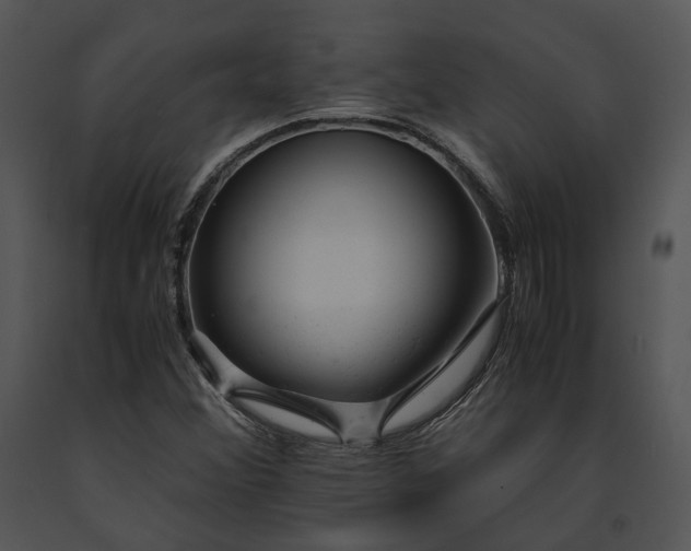 X0000091661356200708301430