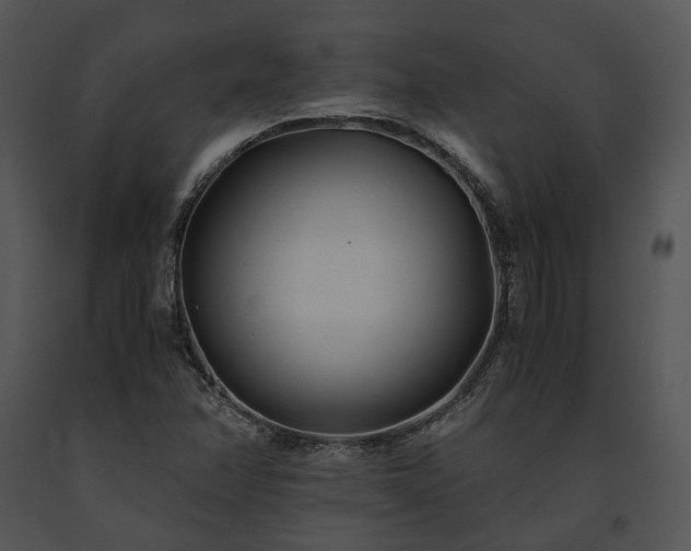 X0000091661358200708301430