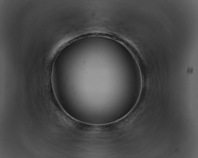 X0000091661359200708301430