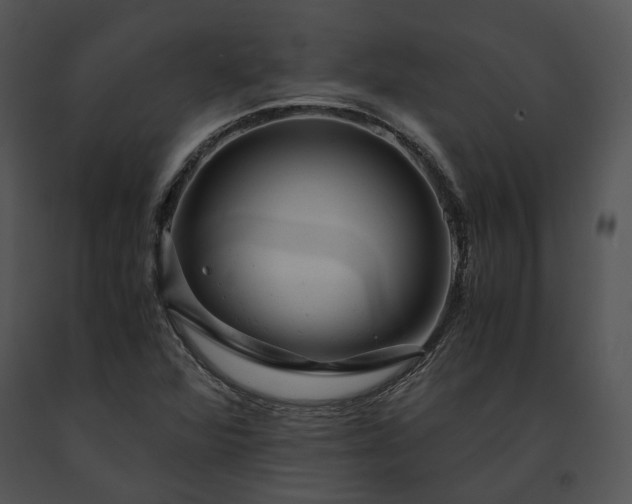 X0000091661360200708301430