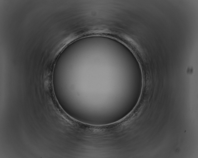 X0000091661361200708301430