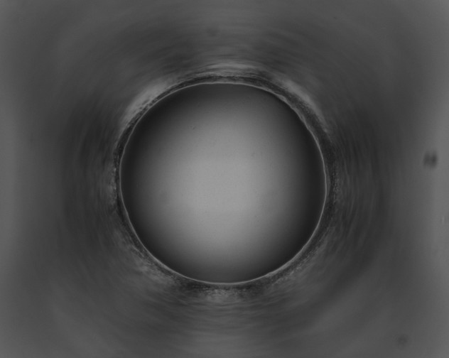 X0000091661362200708301430