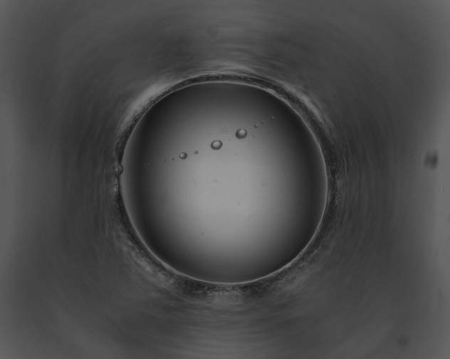 X0000091661363200708301430