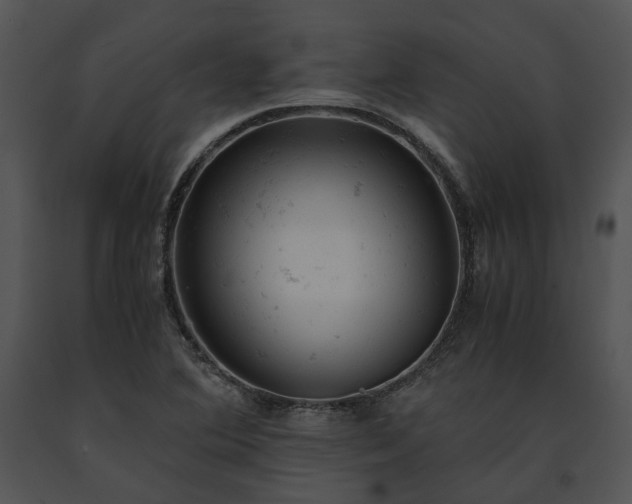 X0000091661364200708301430