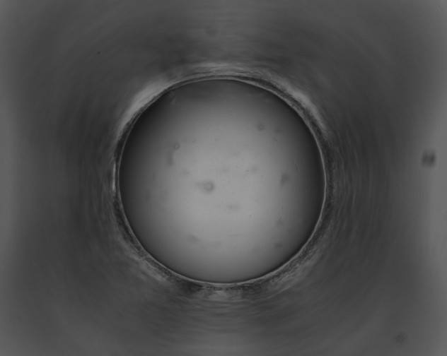 X0000091661365200708301430