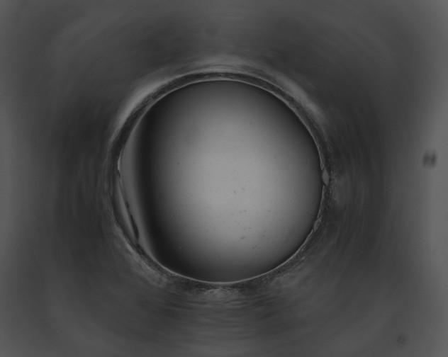 X0000091661368200708301429
