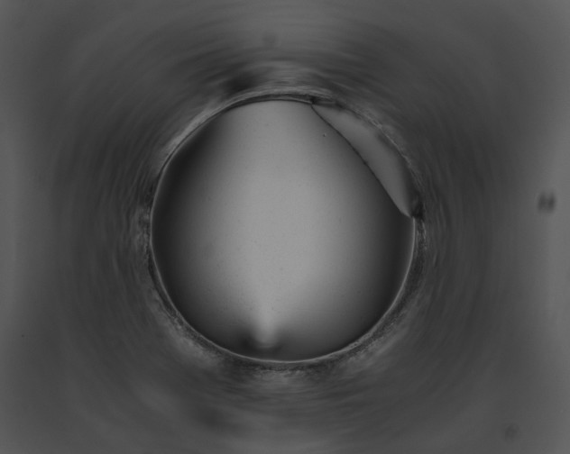 X0000091661369200708301429