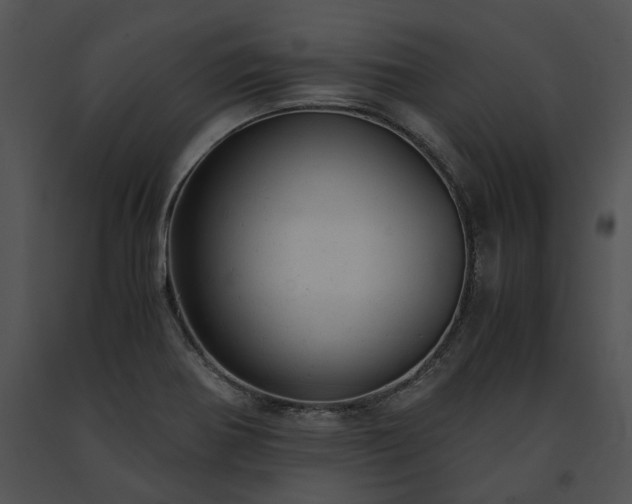 X0000091661370200708301429
