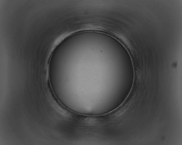 X0000091661371200708301429