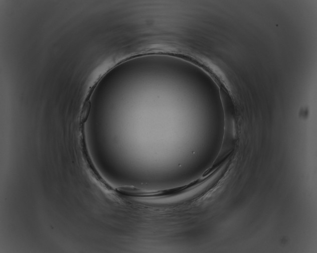 X0000091661373200708301429