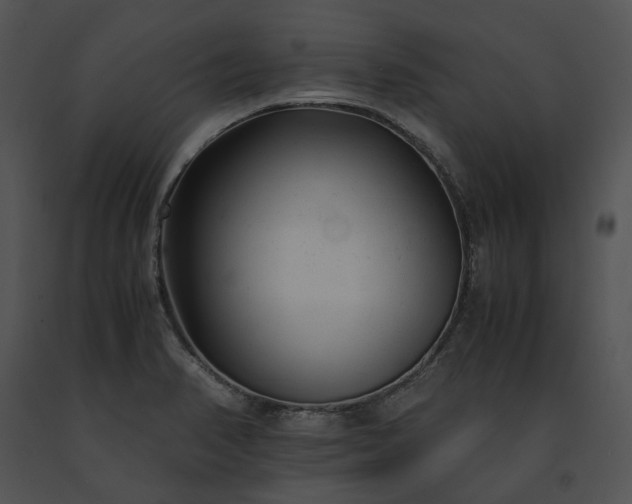 X0000091661374200708301429