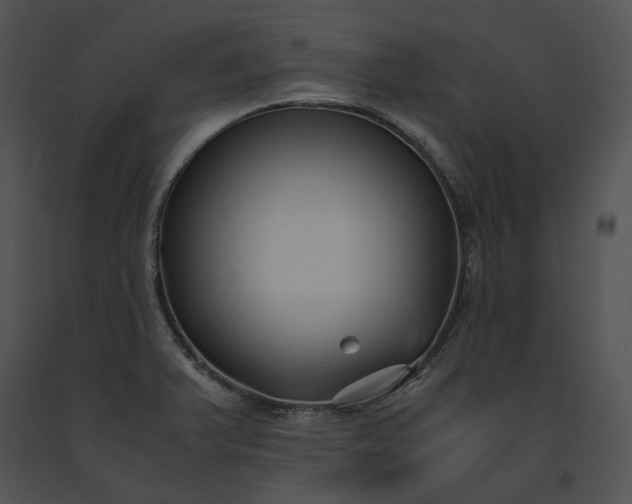 X0000091661375200708301429