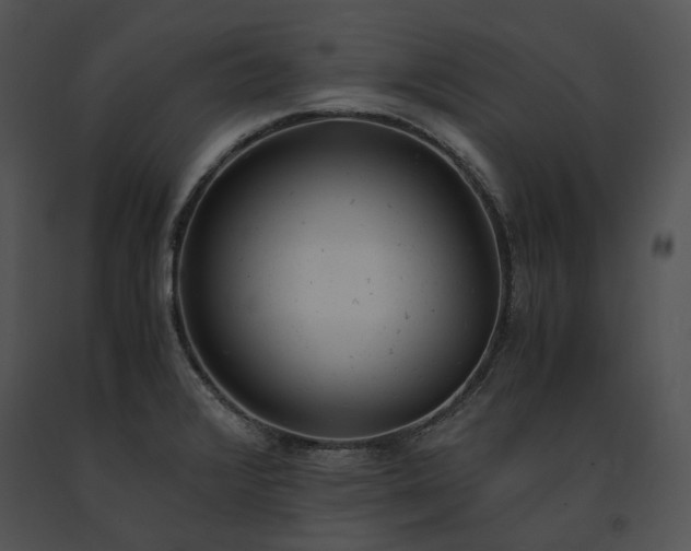 X0000091661376200708301429