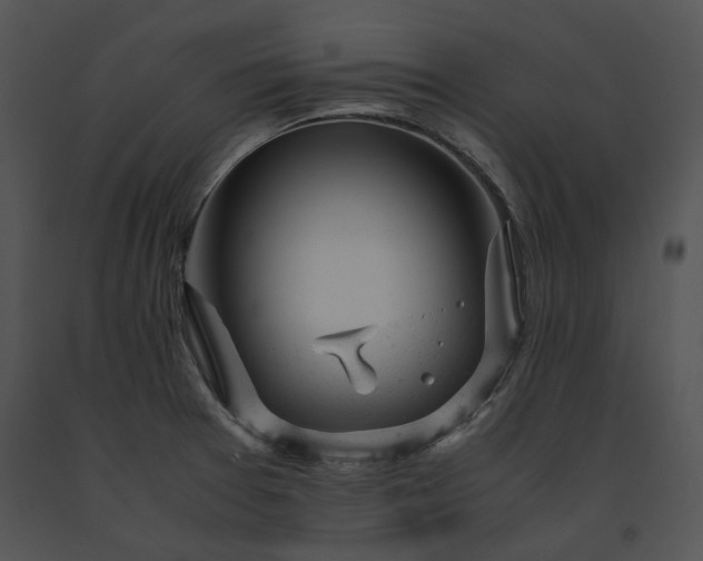 X0000091661377200708301429