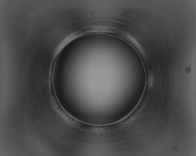 X0000091661378200708301429