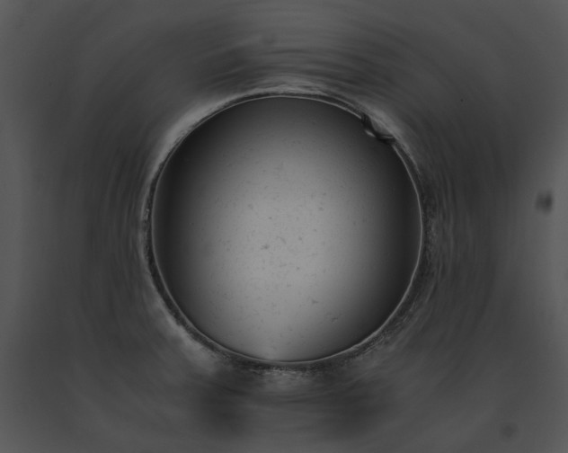 X0000091661379200708301429