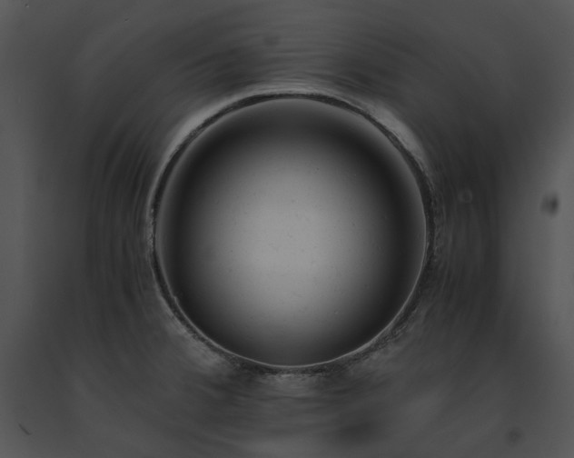 X0000091661380200708301429
