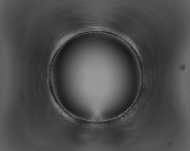 X0000091661381200708301429