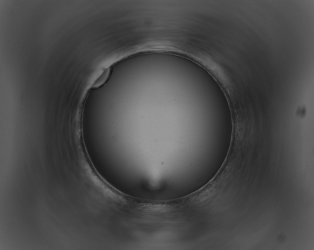 X0000091661382200708301429