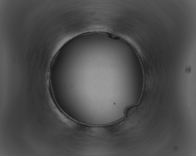 X0000091661383200708301429