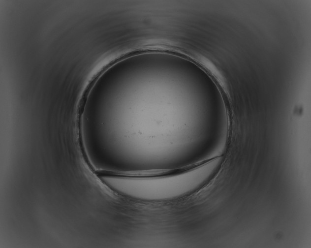 X0000091661384200708301429