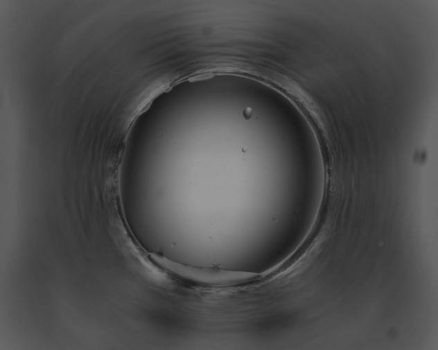 X0000091661385200708301429