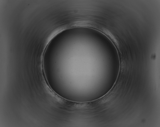 X0000091661386200708301429