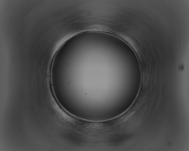 X0000091661387200708301429