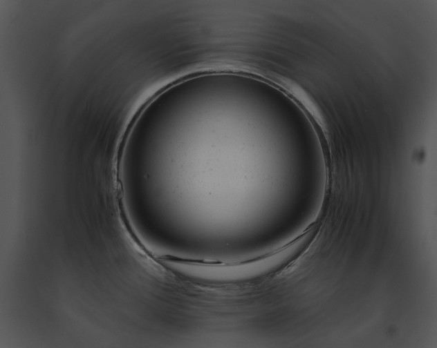 X0000091661388200708301429
