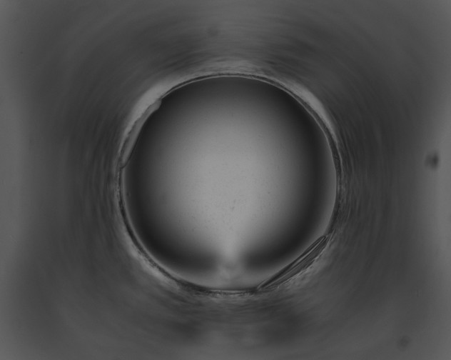 X0000091661389200708301429