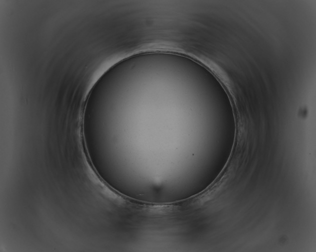 X0000091661390200708301429