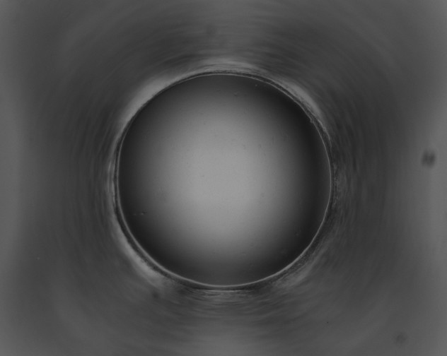 X0000091661391200708301429