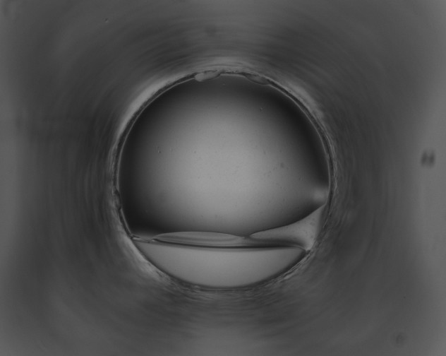 X0000091661392200708301429