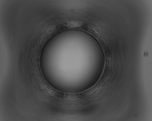 X0000091661393200708301429