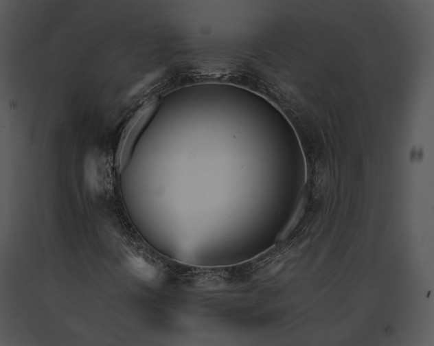 X0000091661394200708301429