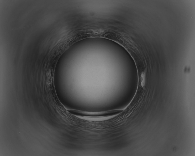X0000091661395200708301429
