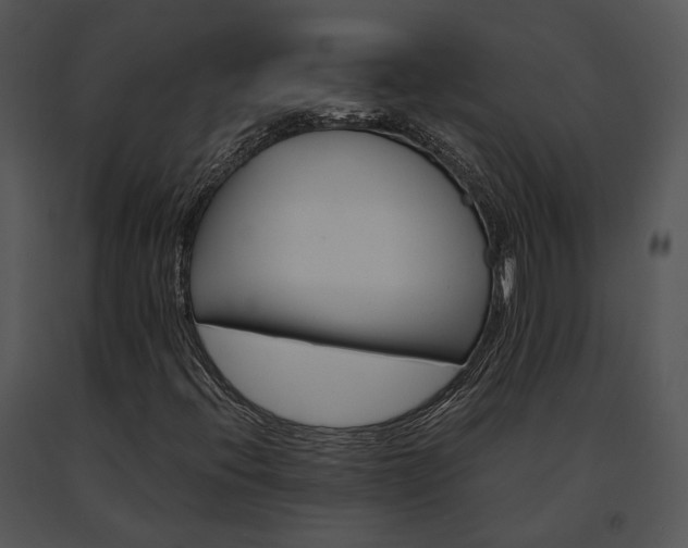 X0000091661396200708301429