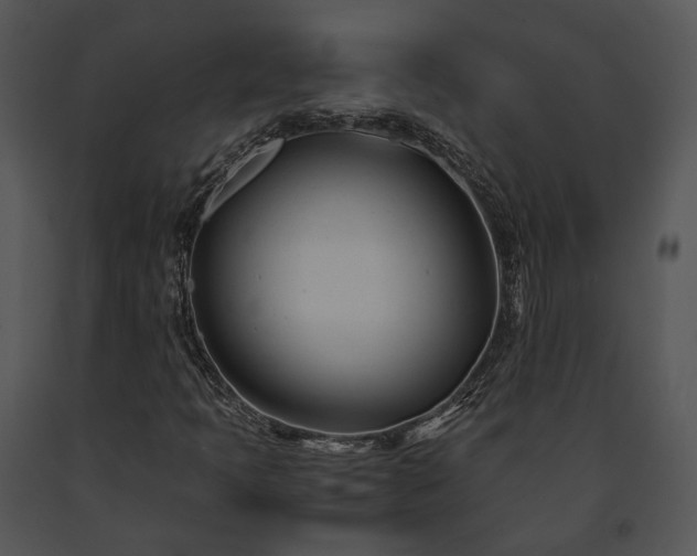 X0000091661397200708301429
