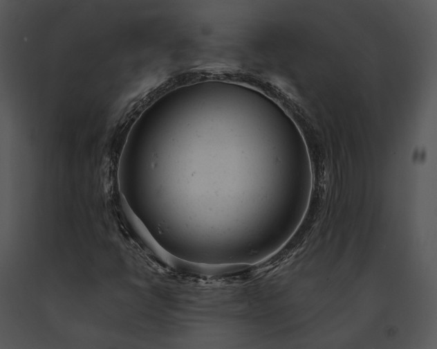 X0000091661398200708301429