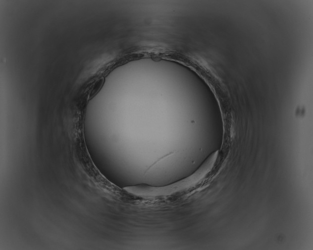 X0000091661399200708301429
